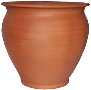 Lírio